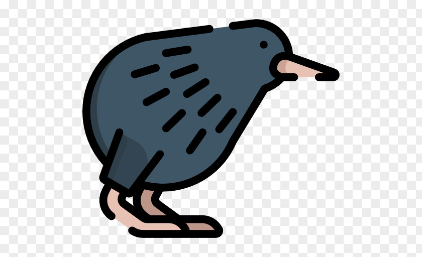 Kiwi Bird Beak PNG