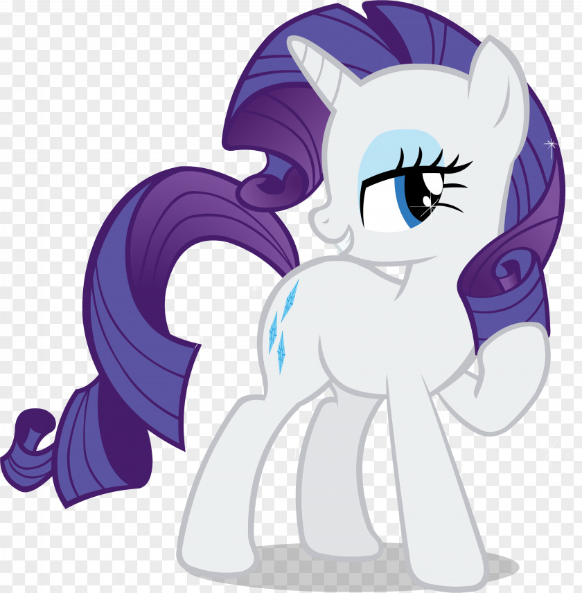 My Little Pony Rarity Applejack Rainbow Dash Twilight Sparkle PNG