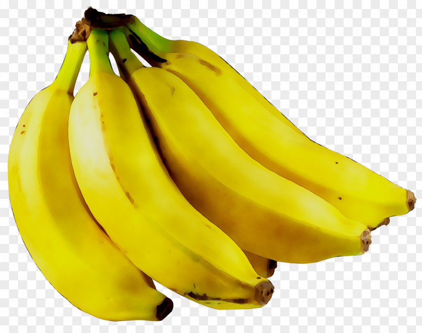 Banana Nutrient Food Fruit Eating PNG