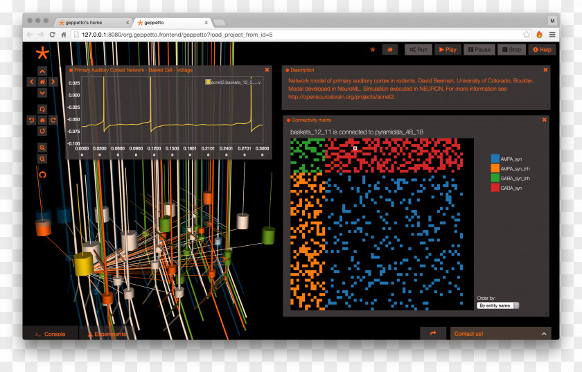 Brain Human Graphics Software Anatomy Neuroscience PNG