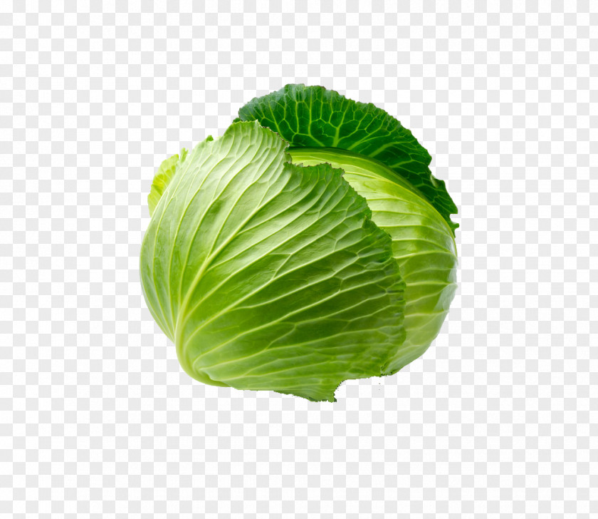 Cabbage Vegetable Chinese Fruit Onion Food PNG