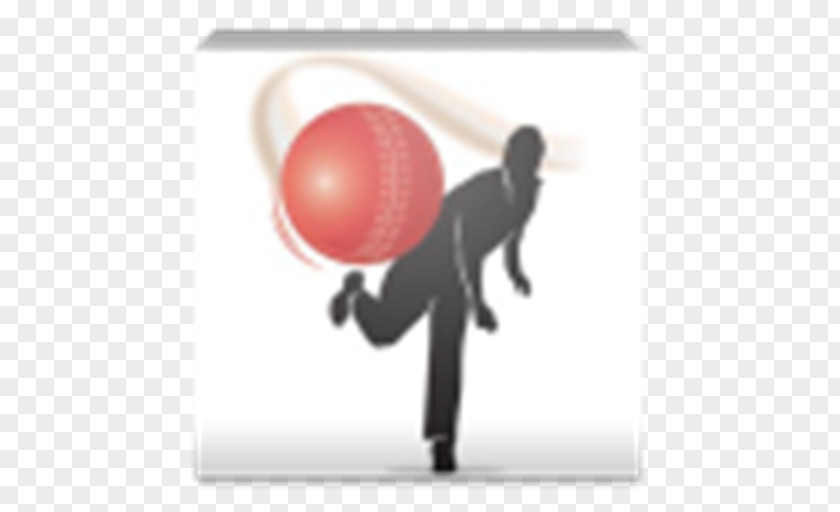Cricket ICC World Twenty20 Pakistan National Team Bowling (cricket) Spin PNG