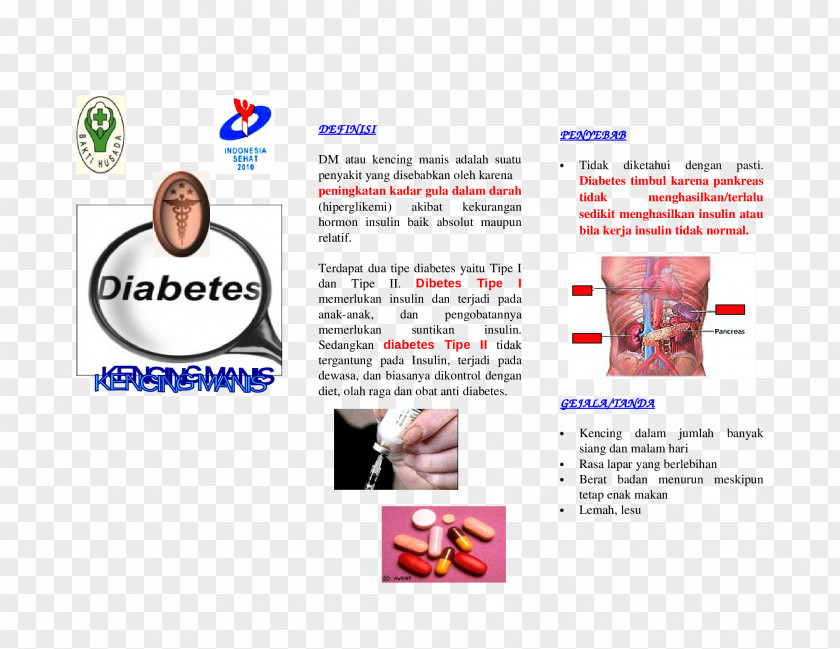 Leaflets Diabetes Mellitus Type 2 Pamphlet Brochure Anti-diabetic Medication PNG