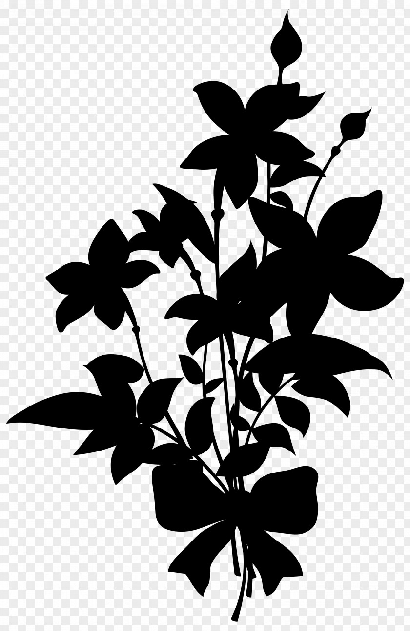 Lily Flower Nosegay Vector Graphics PNG