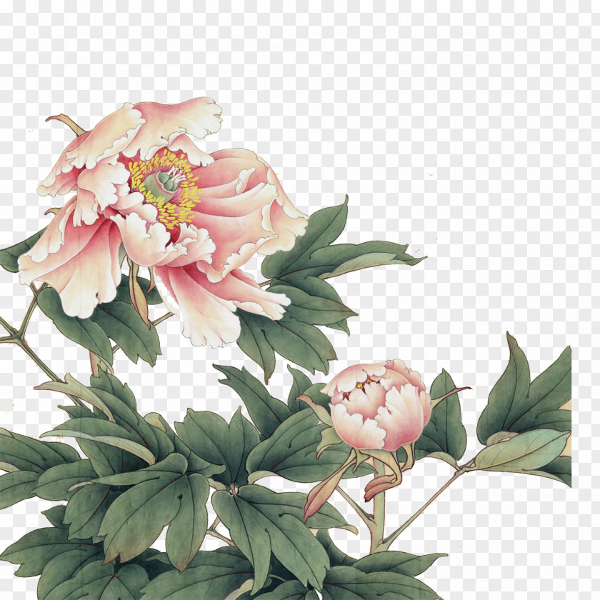 Peony Chinese Painting Gongbi Art PNG