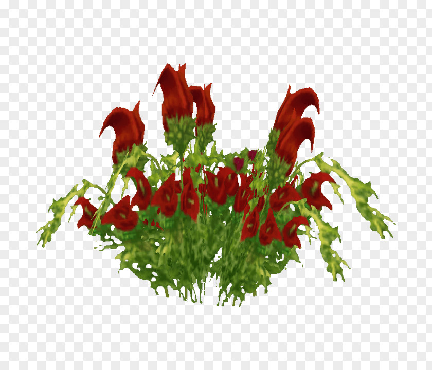 World Of Warcraft Leaf Vegetable European Union Flowering Plant PNG