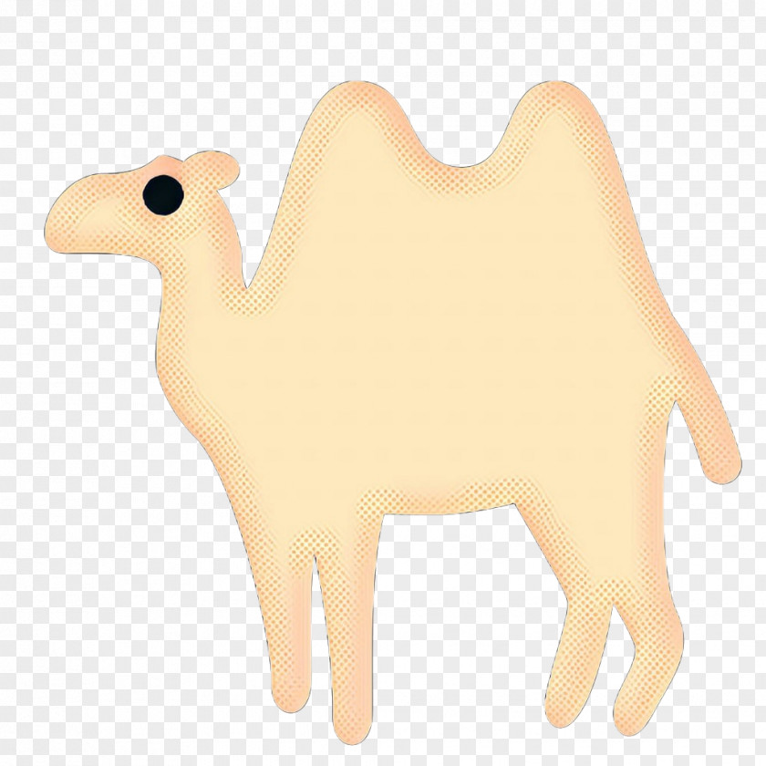 Arabian Camel Bactrian Vintage Background PNG