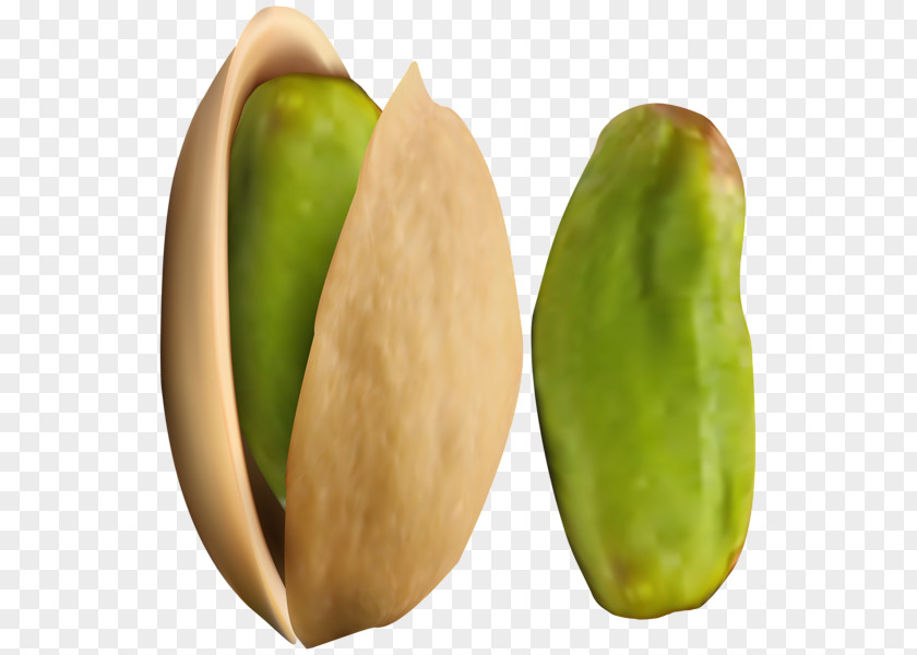 Pistachio Nut Food Clip Art PNG