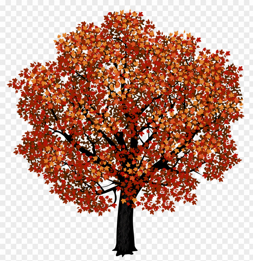 Red Maple Tree Clipart Picture Japanese Autumn Leaf Color Clip Art PNG