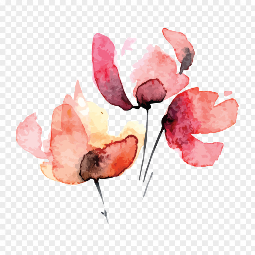 Rose Petal Watercolor Painting Cut Flowers Family PNG