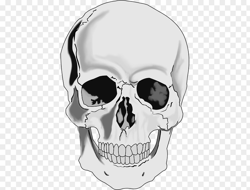 Skull Monster Clip Art Human Skeleton Drawing PNG