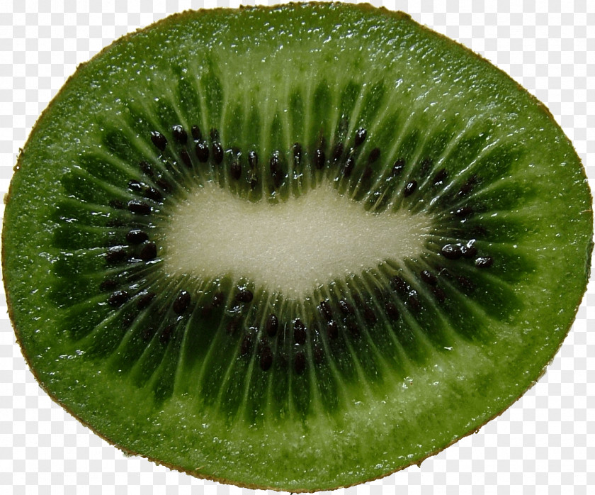 Green Cutted Kiwi Image Kiwifruit Grapefruit PNG