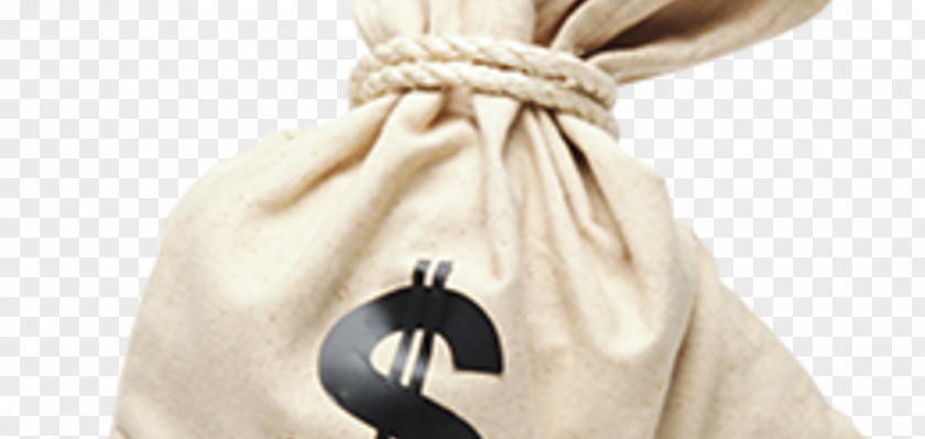 Money Bag Service Indemnity PNG