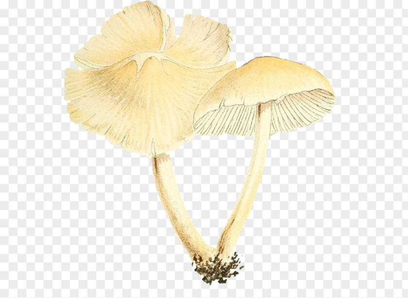 Mushroom Poisoning Food Wii PNG