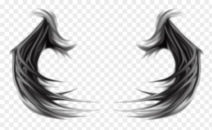 Symmetrical Double Eagle Wings Angel Wing Devil Feather PNG