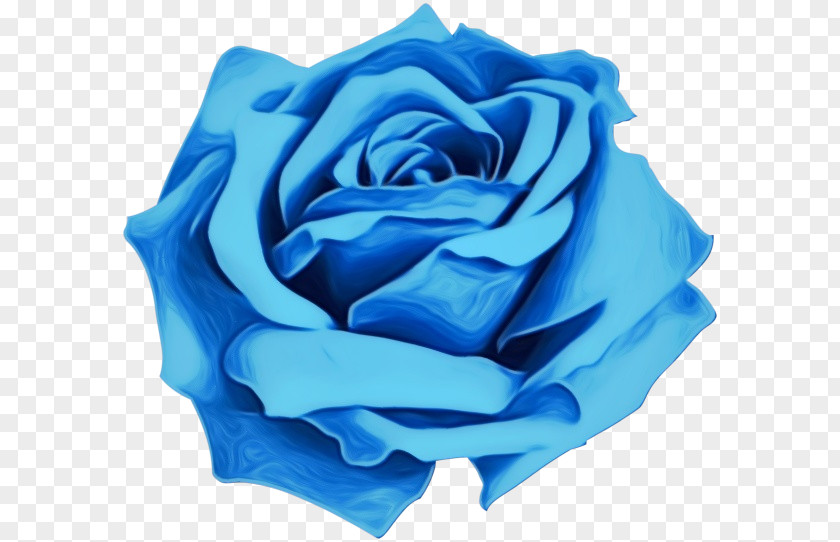Blue Rose PNG