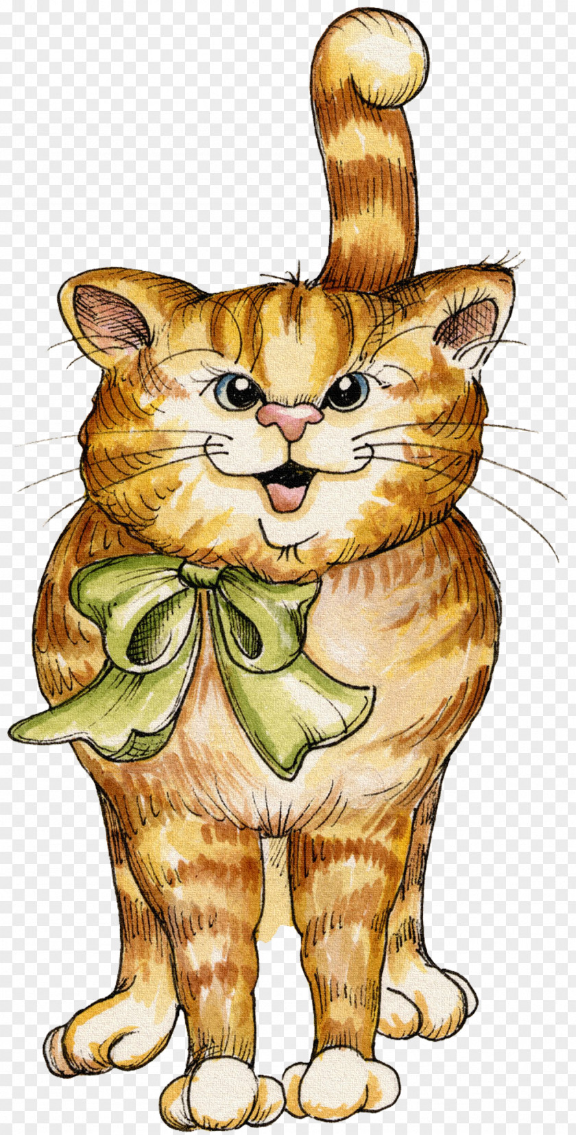 Cat Tabby Kitten Drawing PNG