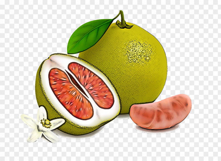 Citrus Fruit Grapefruit Citron Food PNG