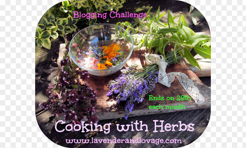 Cooking Herb Recipe Stuffing Spice PNG