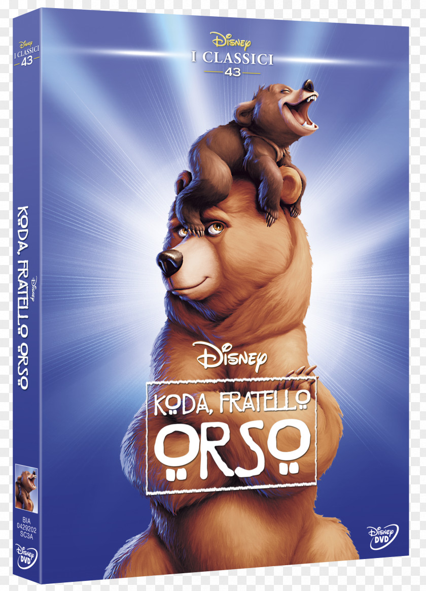 Dvd Kenai DVD Brother Bear The Walt Disney Company Film PNG
