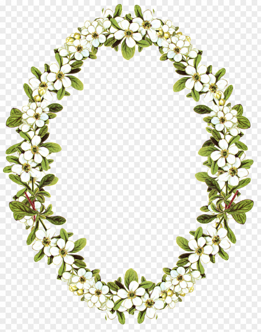 Flower Borders And Frames Picture Clip Art PNG