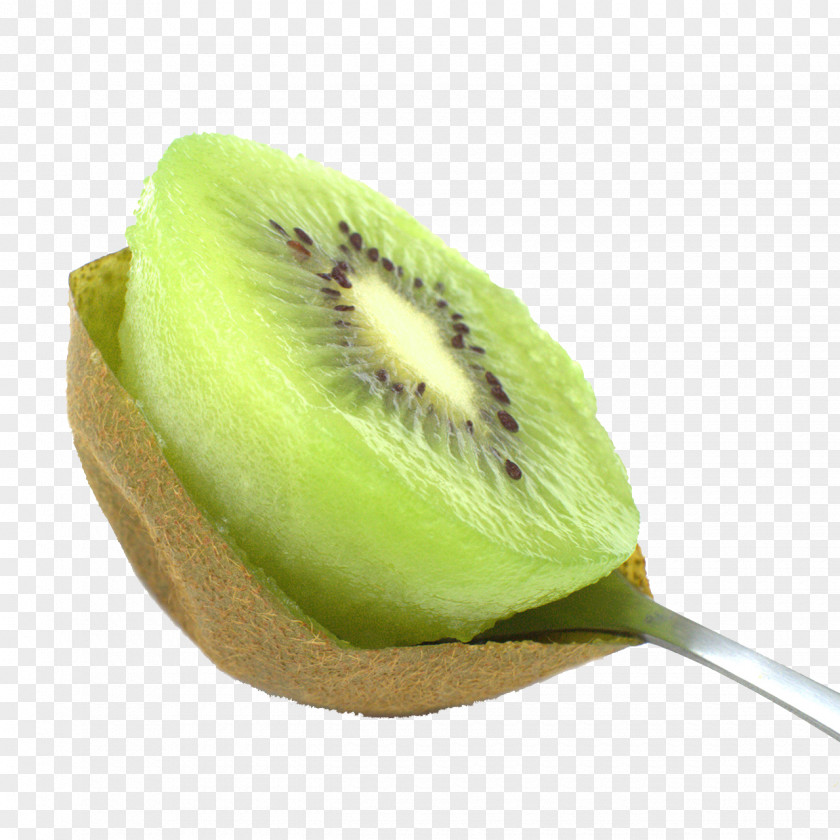 Kiwi Spoon Digging Kiwifruit Clip Art PNG