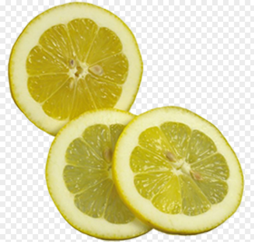 Lemon Slices Child PNG
