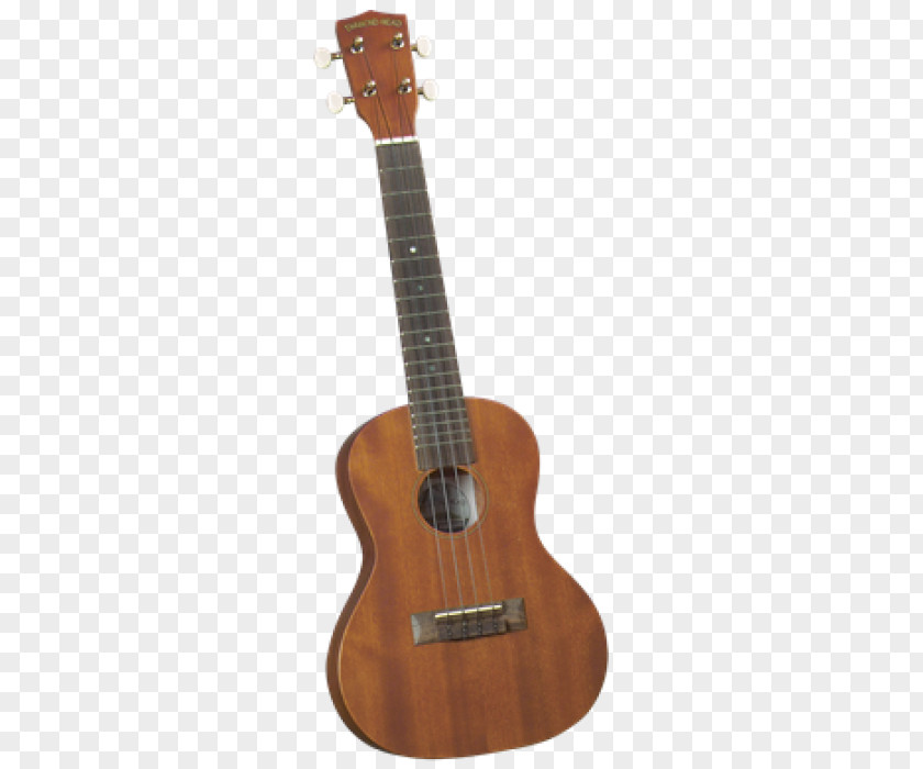 Musical Instruments Diamond Head Soprano Ukulele DU-10 Guitar String PNG