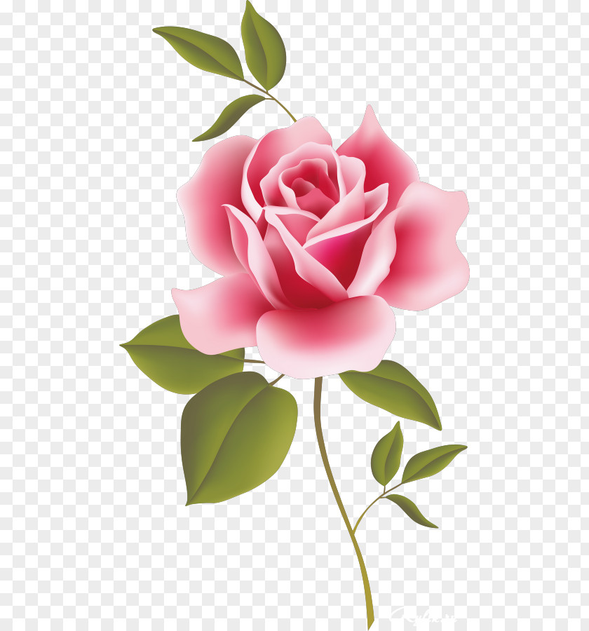 Pretty Flowers Rose Pink Clip Art PNG