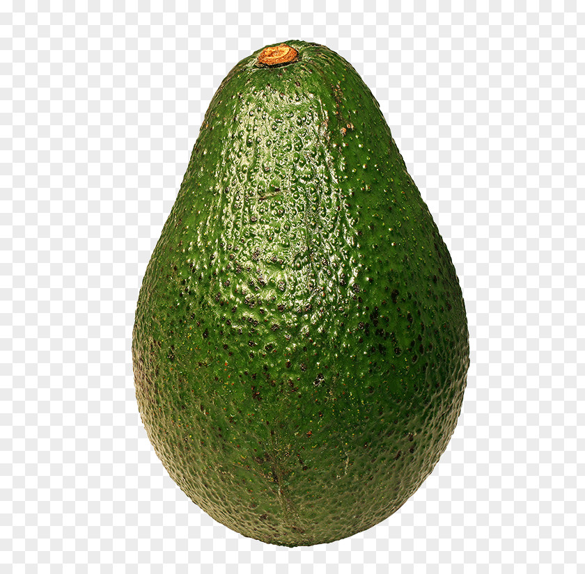 Avocado PNG clipart PNG