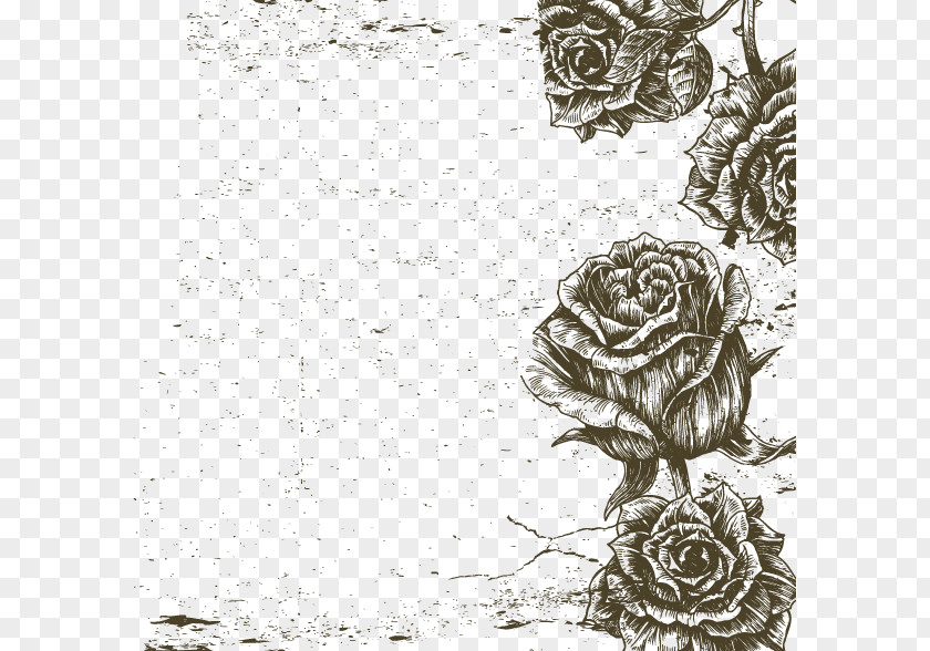 Black And White Roses Border Vector Image Beach Rose Visual Arts PNG