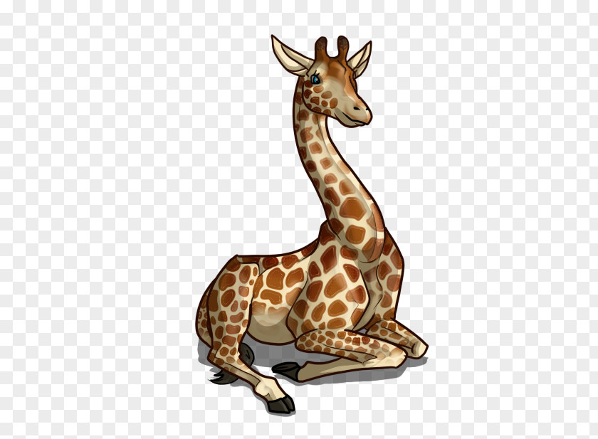 Giraffe Drawing Mammal Koala Sketch PNG