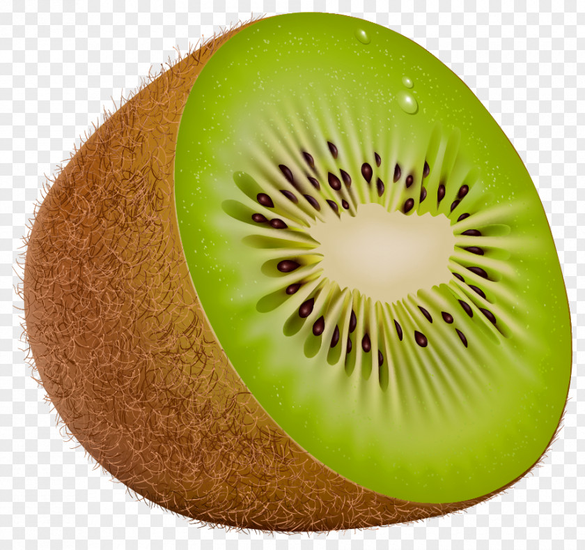 Kiwi Kiwifruit Food Clip Art PNG