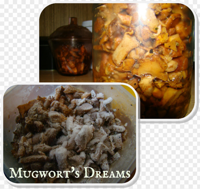 Mugwort Dish Recipe Ingredient PNG