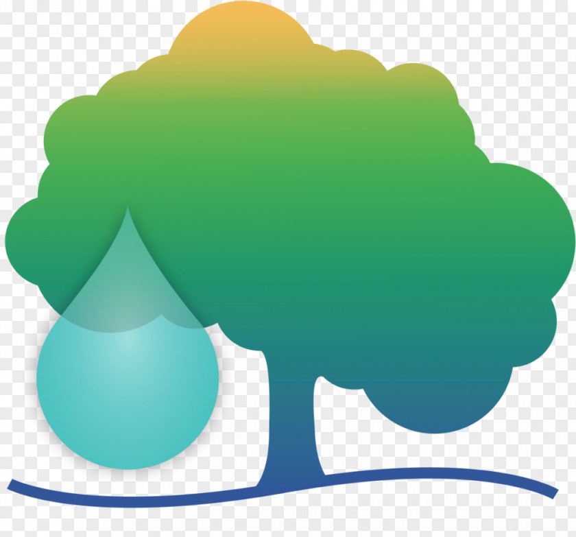 Save Water California Tree Conservation Irrigation PNG