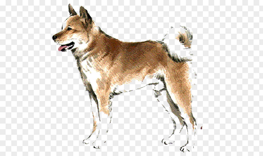 Tongue Dog Saarloos Wolfdog Czechoslovakian Kunming Chinese Zodiac Rat PNG