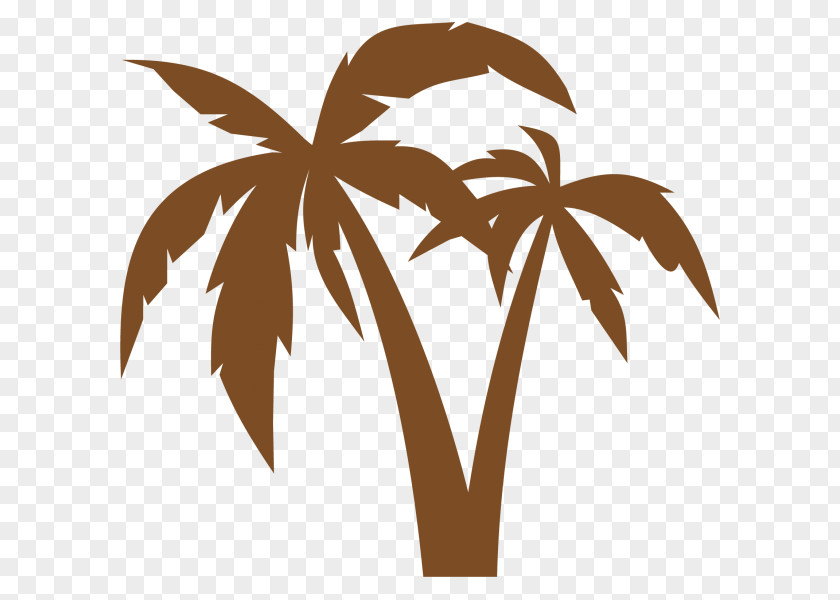 Coconut Vector Clipart Graphics Clip Art Palm Trees Image PNG