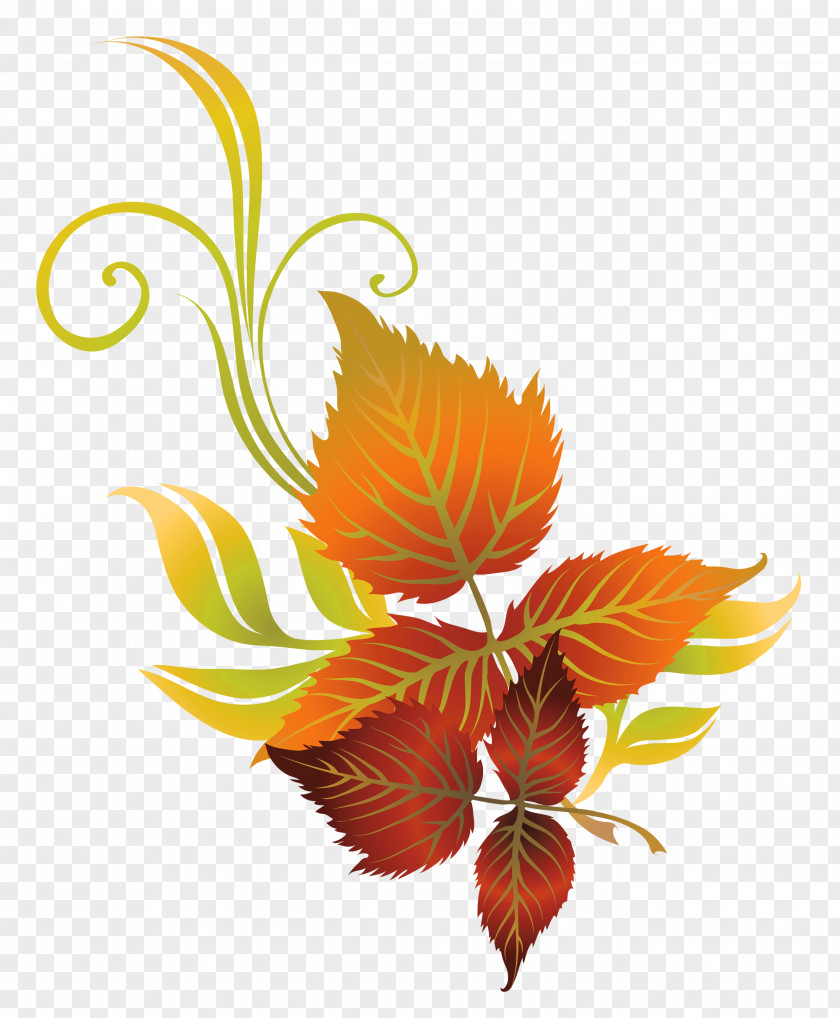 Fall Leaves Deco Clipart Picture Autumn Leaf Color Clip Art PNG