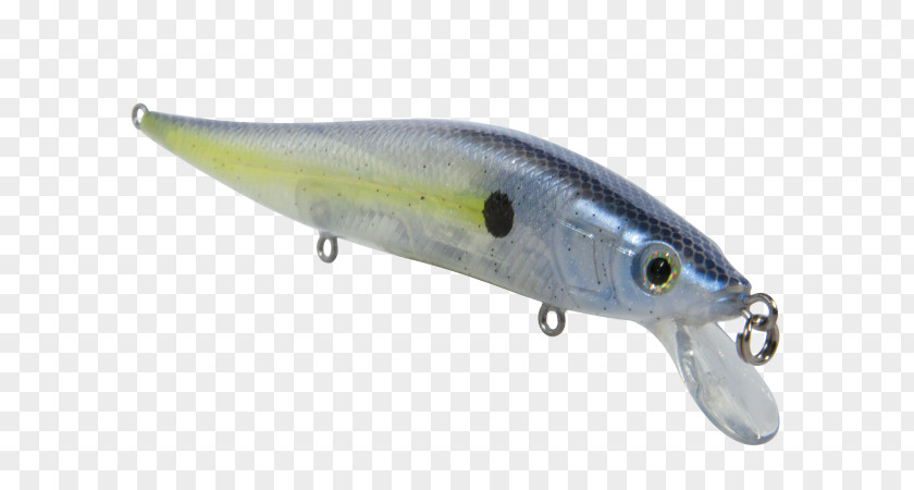 Fish Spoon Lure Milkfish Osmeriformes Oily PNG