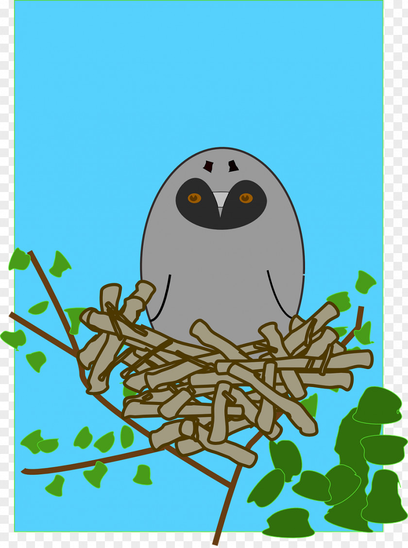 Nest Owl Bird Clip Art PNG