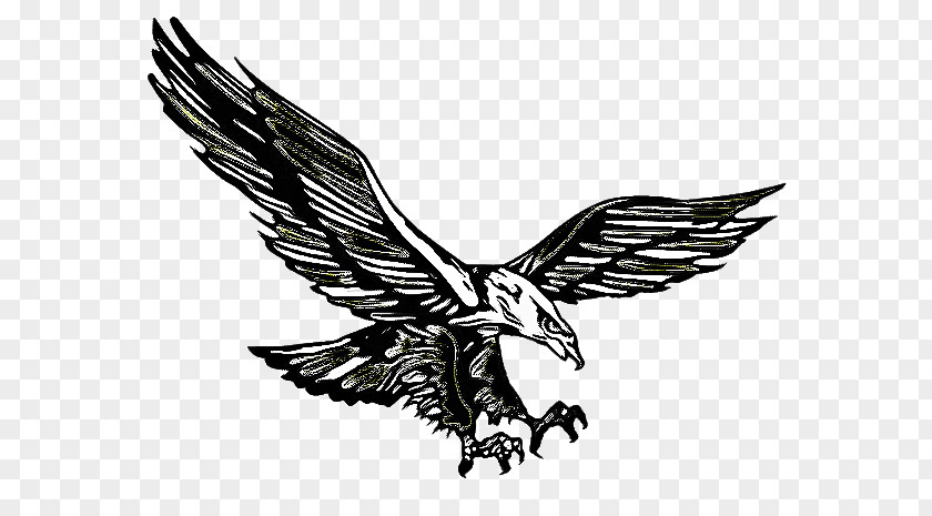 Osprey Blackandwhite Eagle Logo PNG