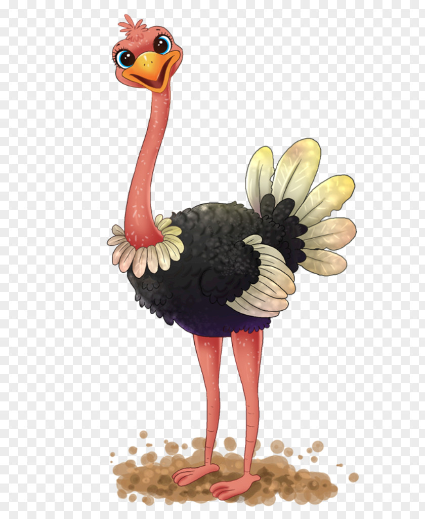 Ostreich Common Ostrich Clip Art Free Content Openclipart PNG