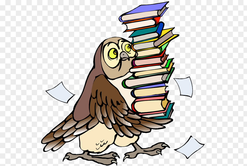 Owl Clip Art PNG