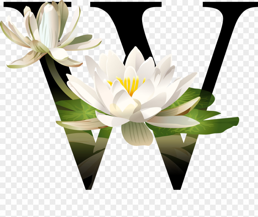 Design Floral Logo PNG
