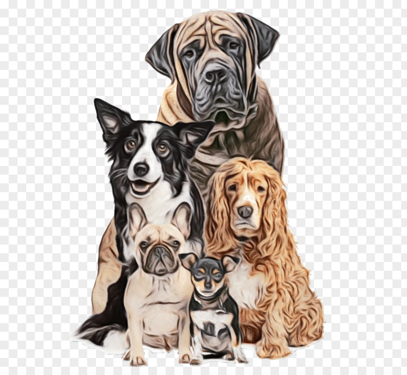 Dog Great Dane Ancient Breeds Companion Sporting Group PNG