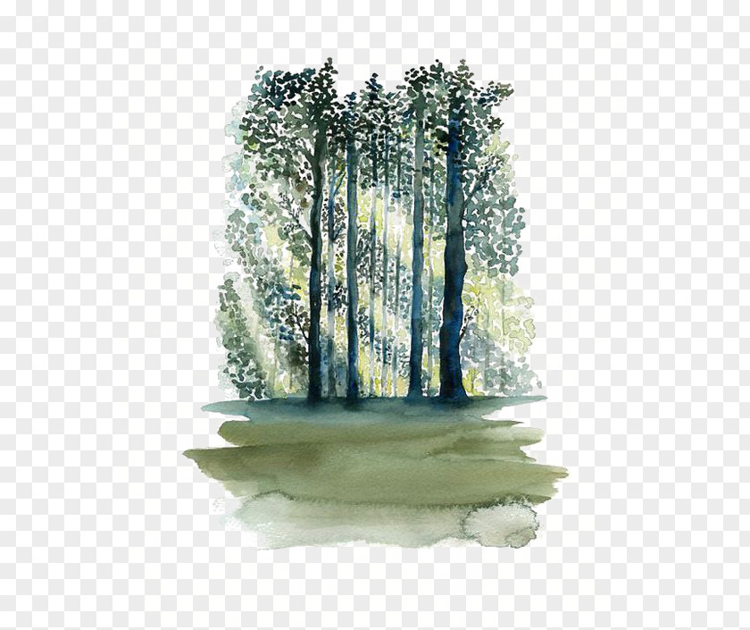 Forest Watercolor Painting Paper Tree PNG