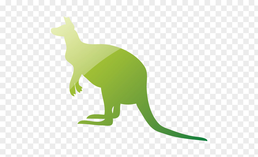 Kangaroo Macropods Clip Art Image Vector Graphics PNG