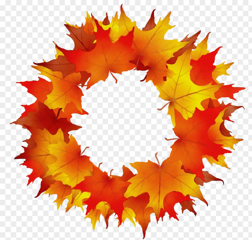 Maple Leaf PNG