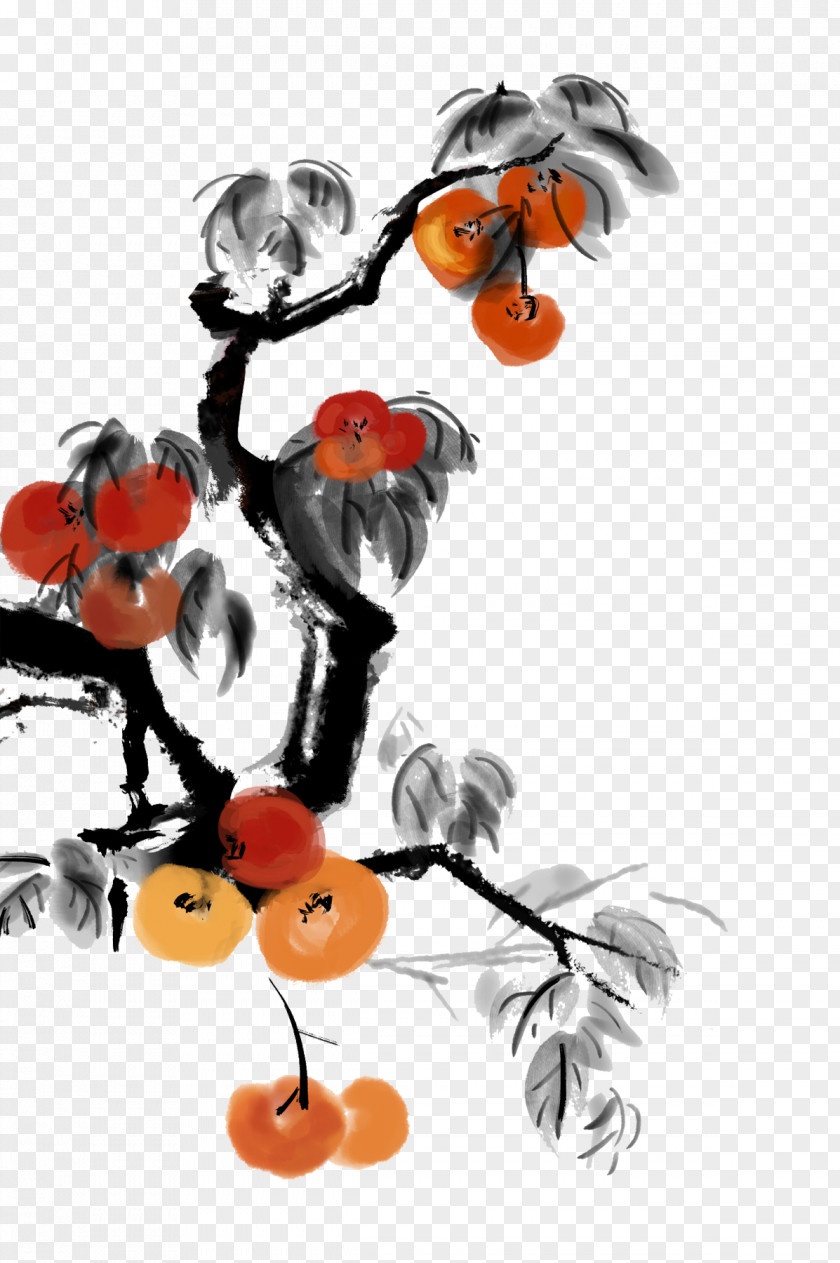 Persimmon Chinese Painting Ink Wash Illustration PNG
