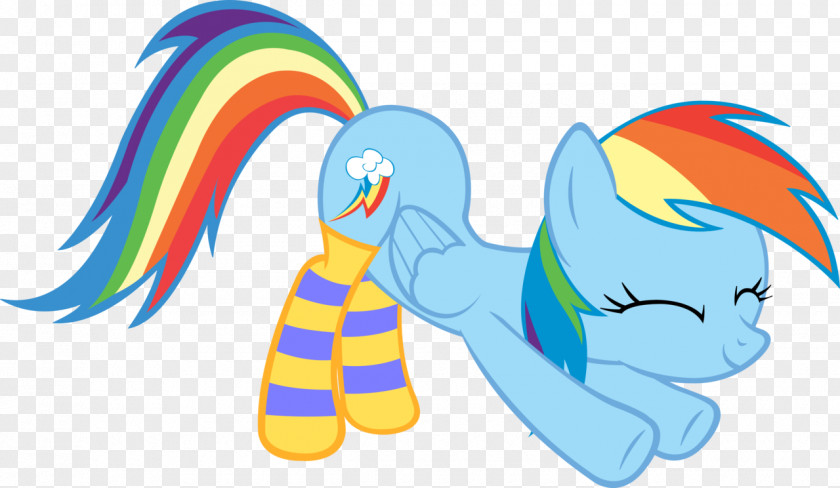 Rainbow Dash Pony Sock BronyCon Knee Highs PNG